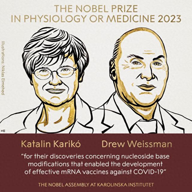 Katalin Karikó和Drew Weissman获得“2023年诺贝尔生理学或医学奖”。图片来源：诺奖官网