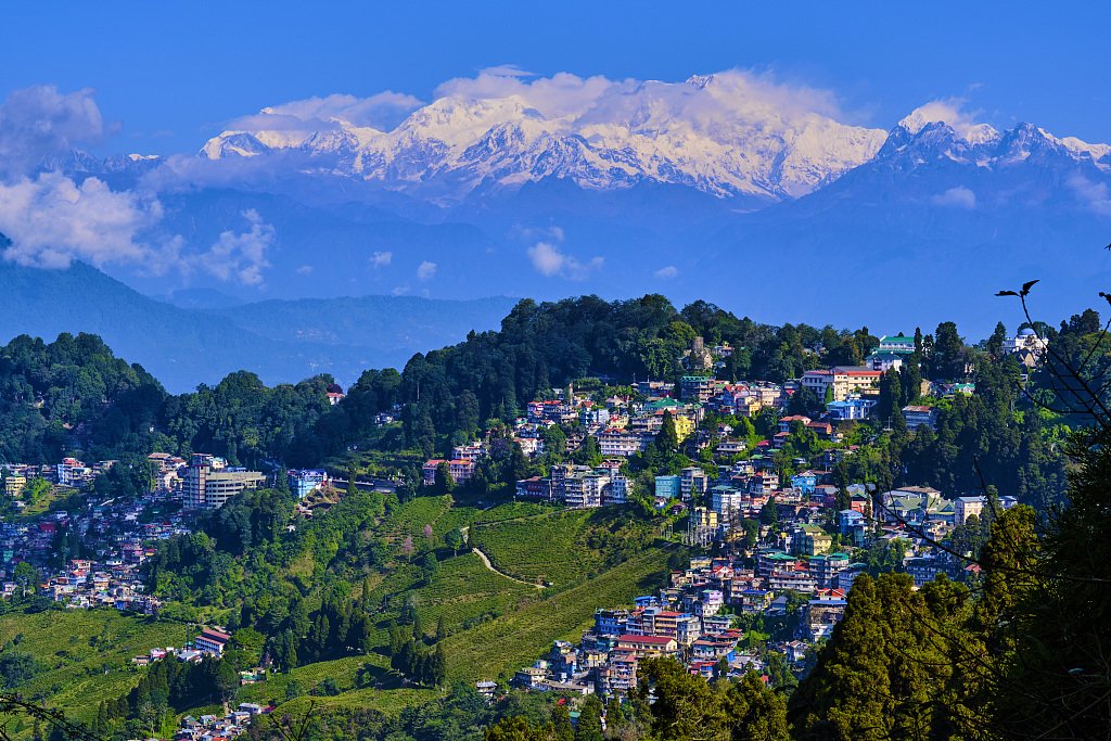 来份咖喱,再倒杯茶:大吉岭-喜马拉雅铁路上怎么吃|印度_新浪财经_新浪