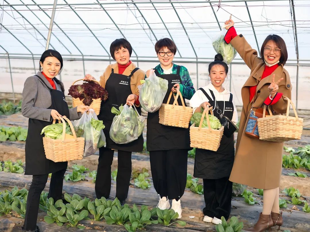 "十一"长假顺义特色蔬菜采摘路线不能错过|北京市_新浪财经_新浪网