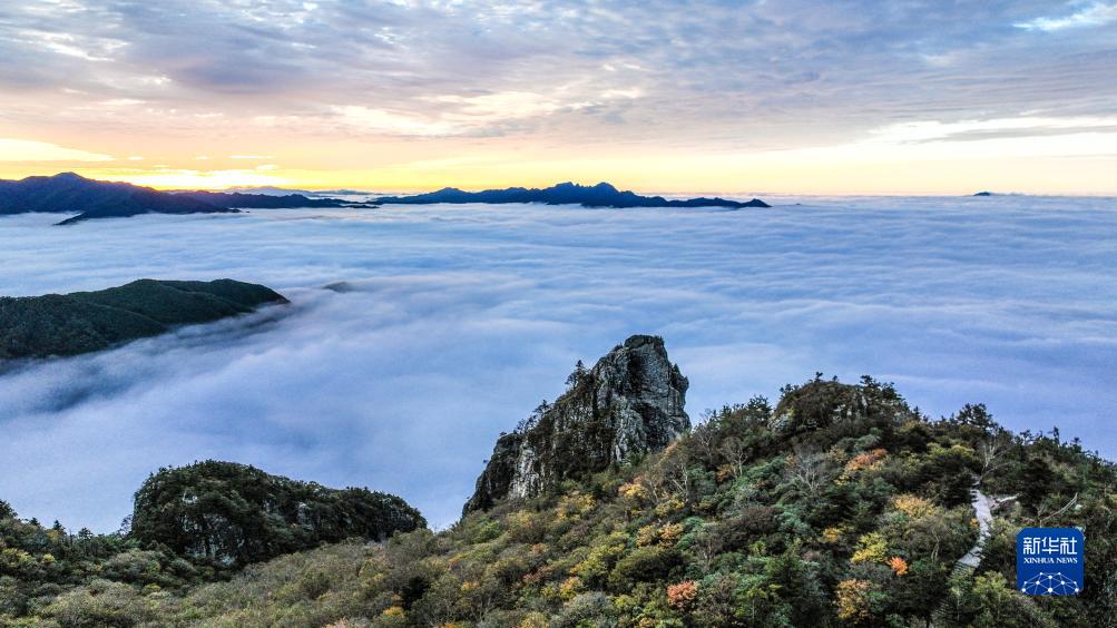 美丽中国丨陕西秦岭牛背梁现云海奇观|陕西省|秦岭|云海_新浪新闻