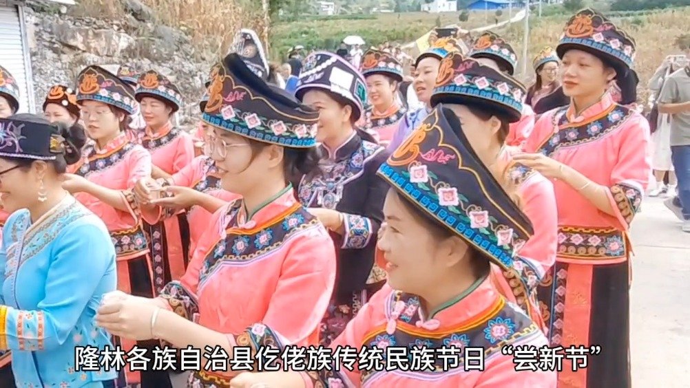 广西隆林仡佬族尝新节|广西|曾黎_新浪新闻