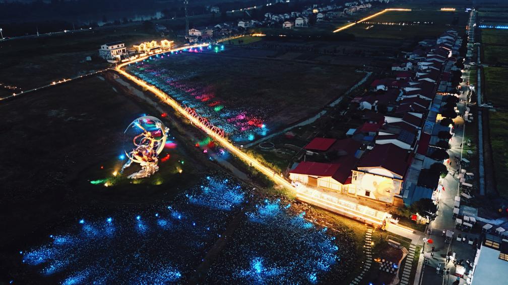 湖南南县罗文村夜间经济活力足.(苏宏伟 摄)