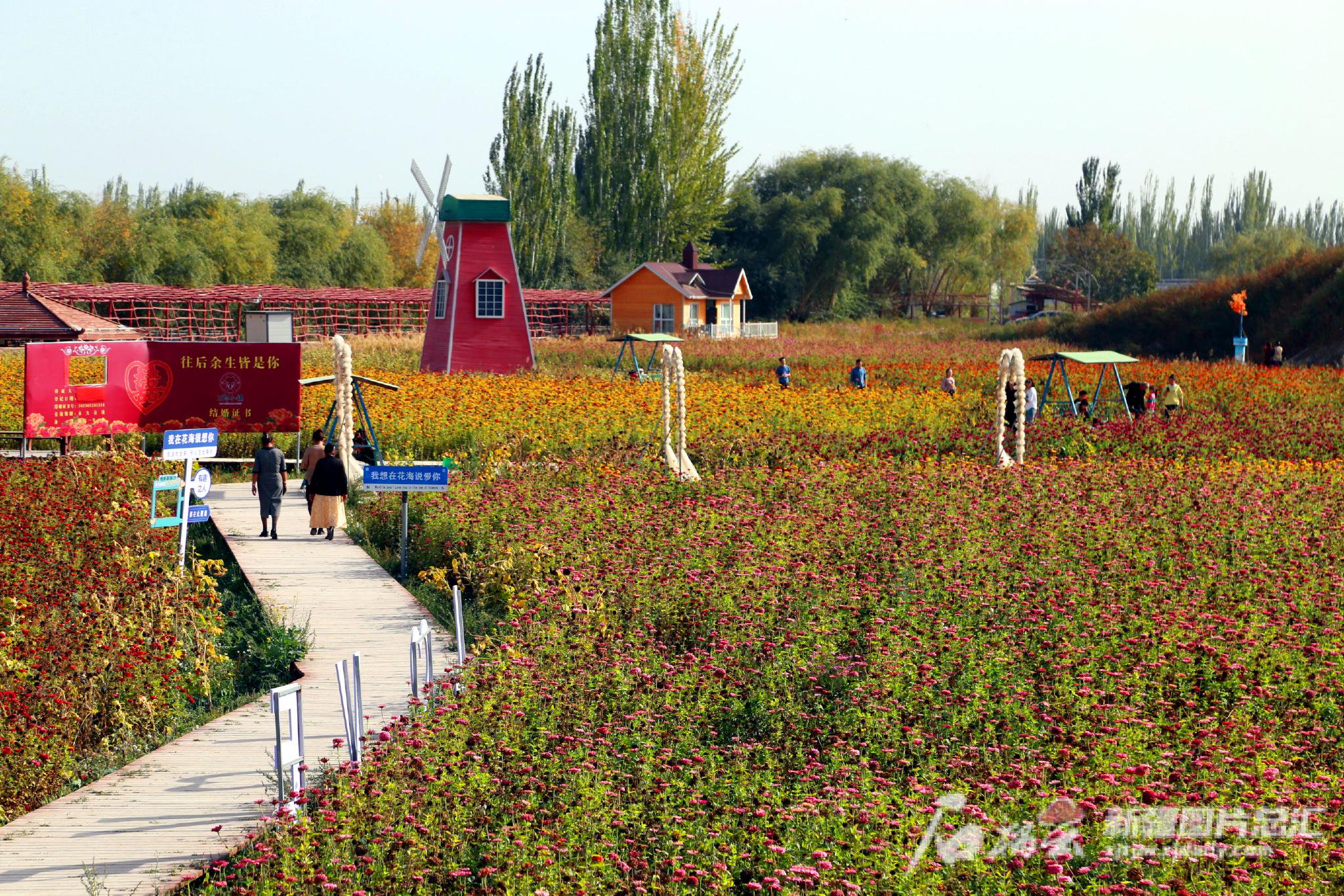 10月3日,游客在阿瓦提县塔木托格拉克镇吐格贝希村花海景区游玩.