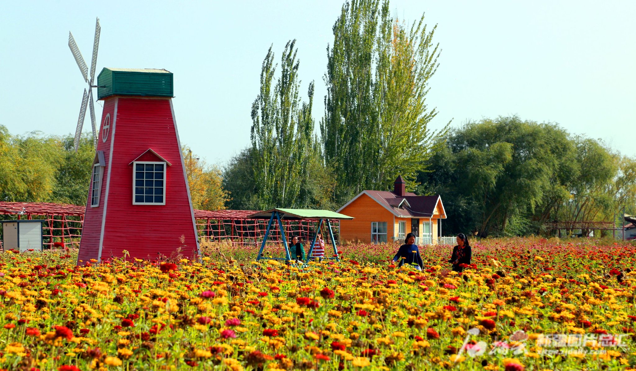 10月3日,游客在阿瓦提县塔木托格拉克镇吐格贝希村花海景区游玩.