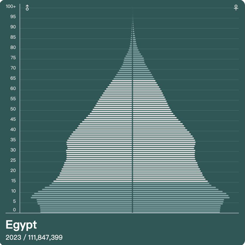 埃及的人口金字塔