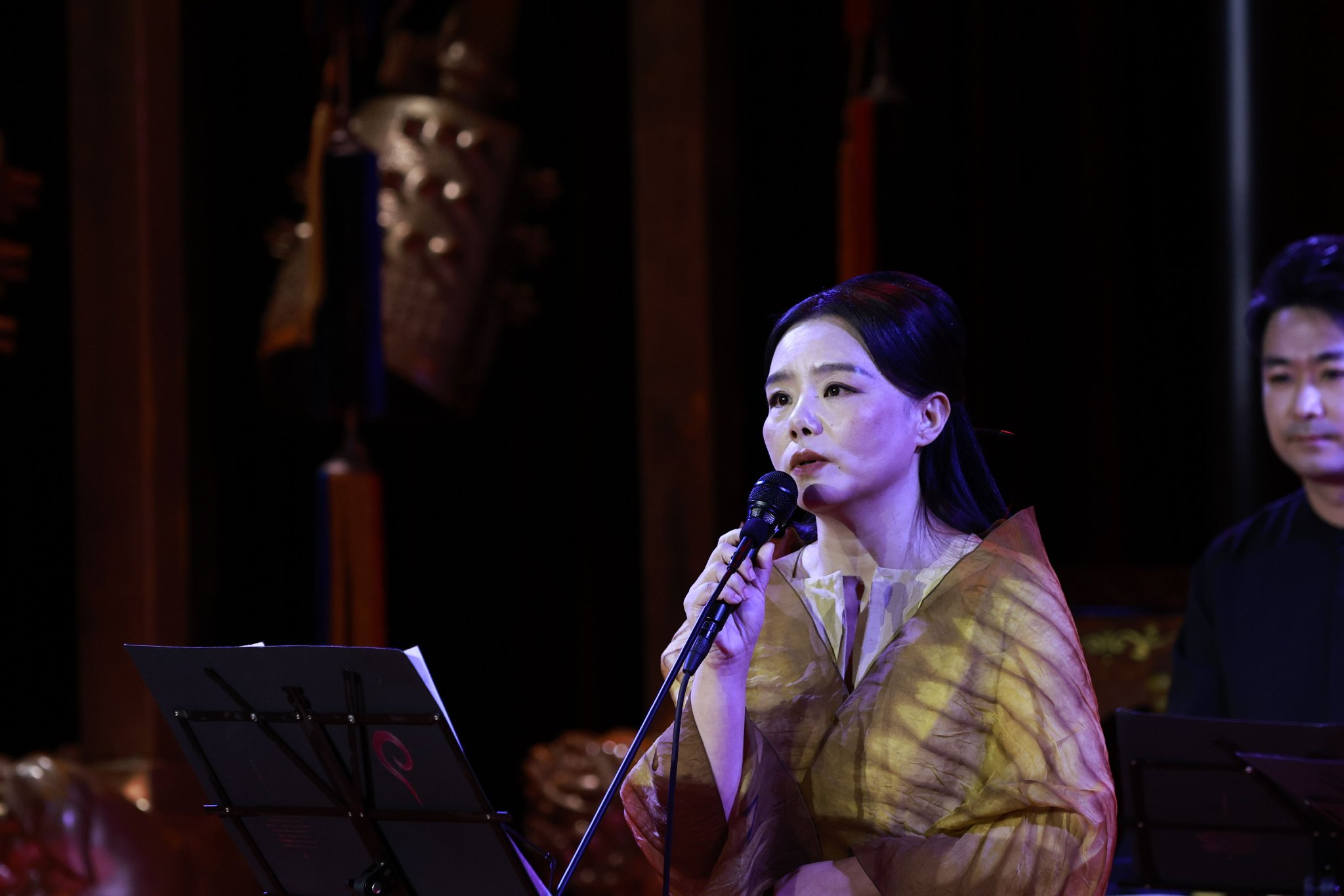 龚琳娜在音乐会上.