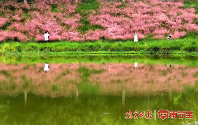 5折！5折！這個(gè)秋冬，廣西實(shí)行景區(qū)門票優(yōu)惠和酒店房費(fèi)優(yōu)惠政策