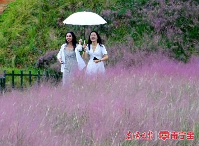 5折！5折！這個(gè)秋冬，廣西實(shí)行景區(qū)門票優(yōu)惠和酒店房費(fèi)優(yōu)惠政策
