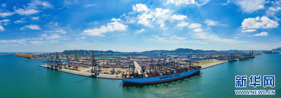 大连片区集装箱码头.新华网发(受访单位供图)