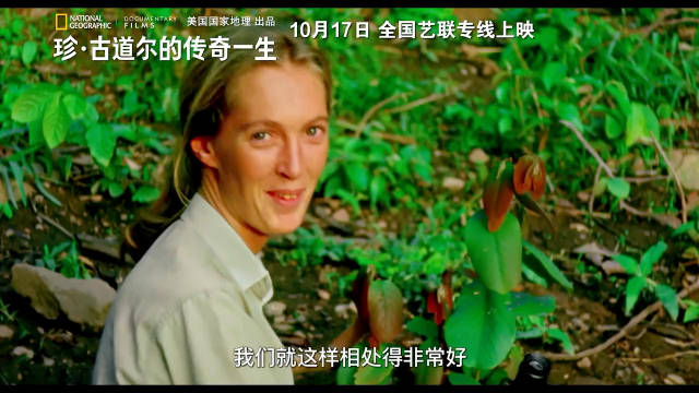 纪录电影《珍·古道尔的传奇一生》定档10月17日……|纪录电影|珍·古道尔的传奇一生_新浪新闻