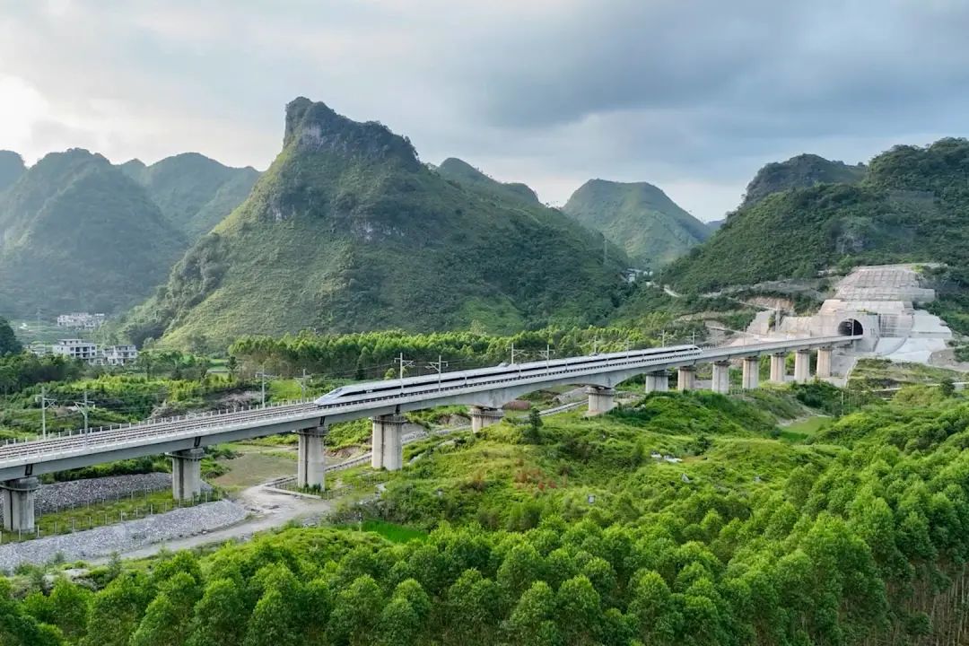 一列动车行驶在贵南高铁南宁至河池区段.麻正宁 摄
