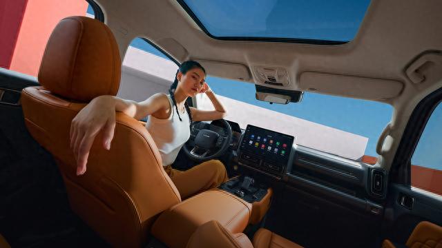 同样预算，你选择功能性更强的猛龙还是销量更好的宋PLUS DM-i？