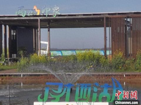 图为准格尔旗准格尔召镇治理后的煤炭复垦区。 李爱平摄