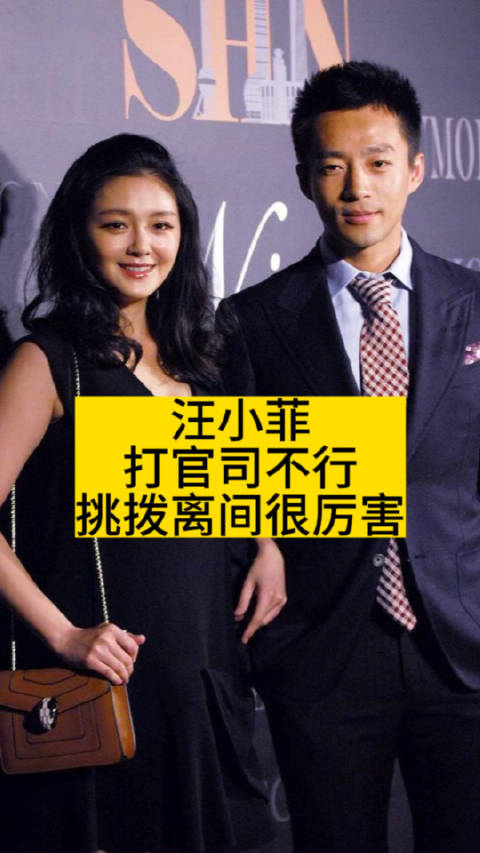 汪小菲打官司不行,挑拨离间很厉害|汪小菲|张兰|直播_新浪新闻