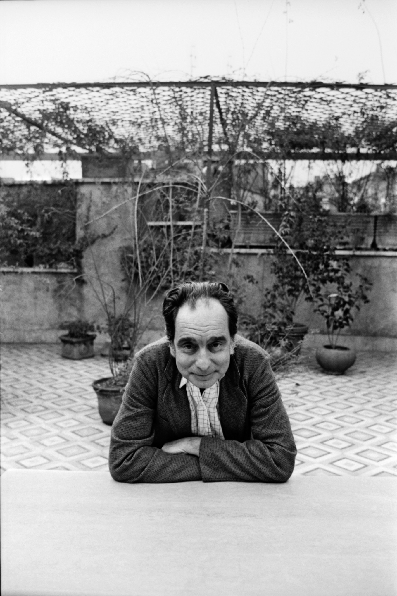 卡尔维诺在罗马家中的露台上 全文图片由出版方提供