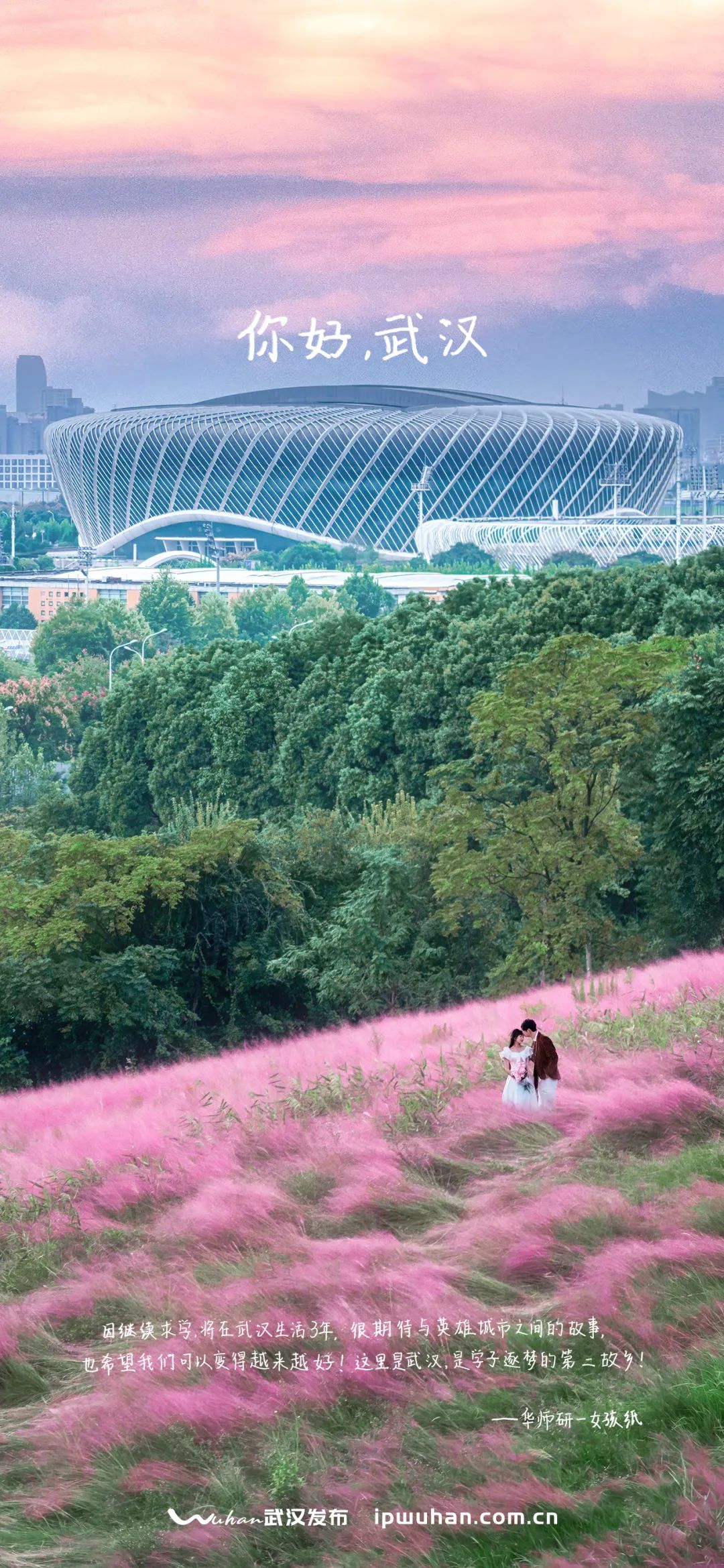 粉黛花海 城市摄影队 简凡 摄于二妃山公园