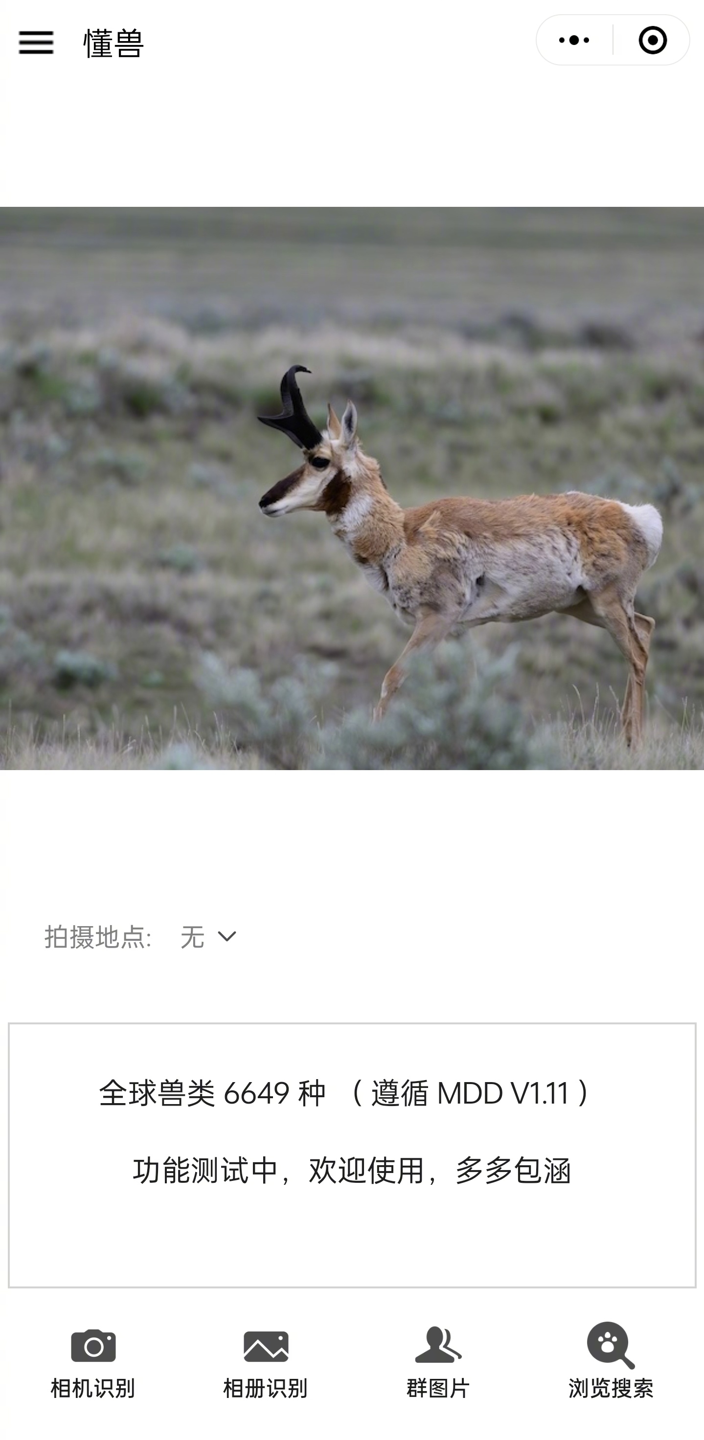 懂鸟团队做的懂兽小程序上线测试了……|ai识别|猕猴|数据|叶猴|状态_新浪新闻