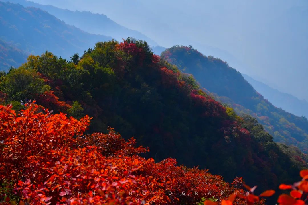 圭峰山秋日如画.西安发布029摄影公社成员 安安 摄