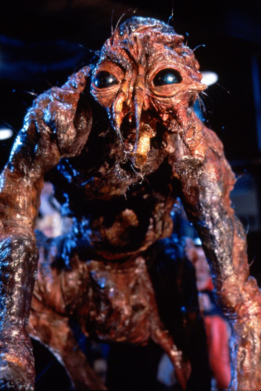 《变蝇人》剧照 图片来源:豆瓣