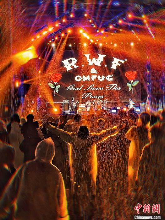 南阳迷笛音乐节现场图.受访者供图