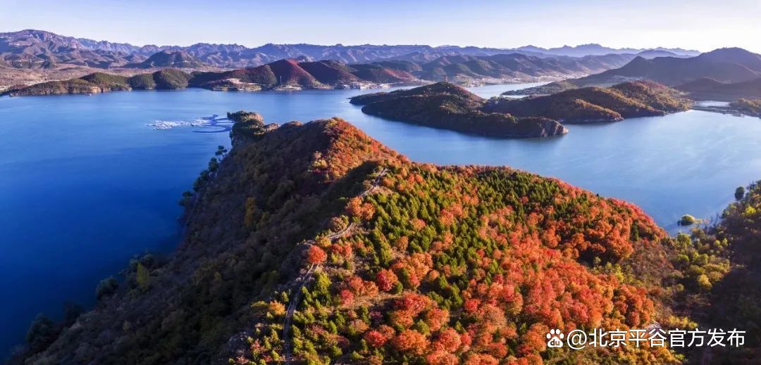 在北京最美的季节,平谷区金海湖镇迎来了红叶最佳观赏期～_新浪财经
