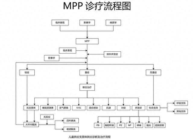 来源：《儿童肺炎支原体肺炎诊疗指南（2023年版）》