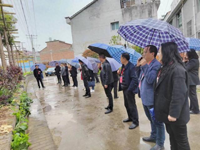 汉阴县平梁镇:助力"小庭院",开出"致富花"|人大代表_新浪财经_新浪网