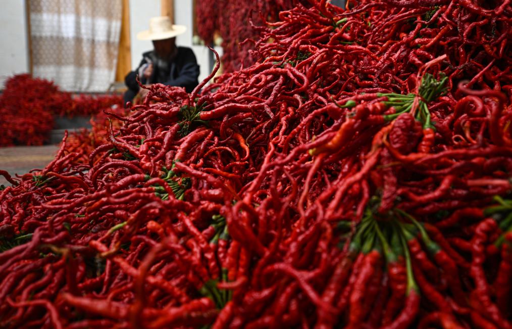 10月12日,在青海省海东市循化撒拉族自治县清水乡田盖村,村民韩乙布