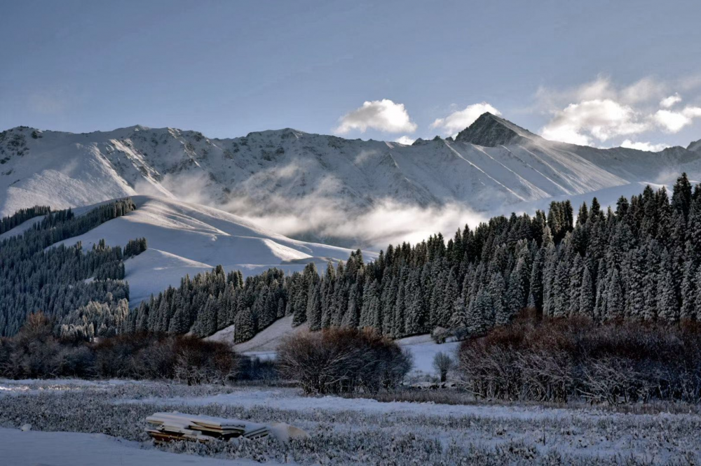 新疆和静巩乃斯镇开启"白色仙境模式"|新疆_新浪财经_新浪网