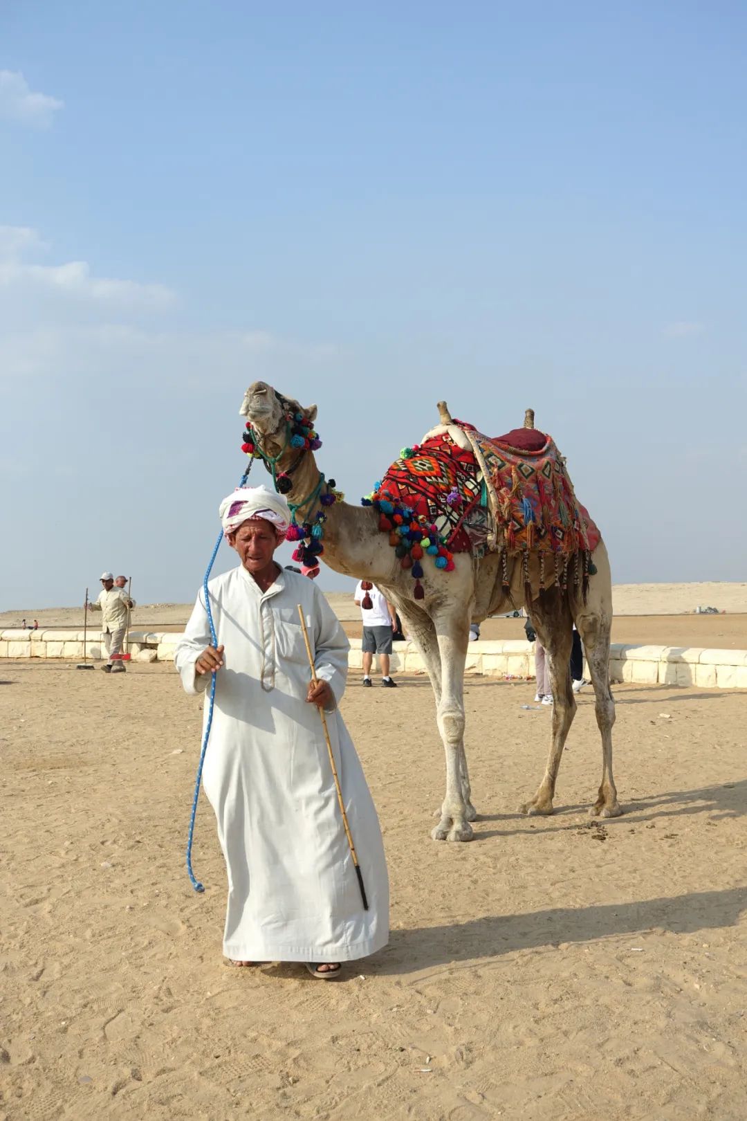 金字塔下,一位老人牵着骆驼.(图/作者供图)