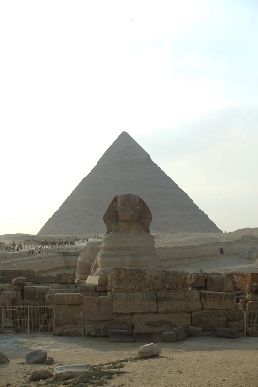 狮身人面像与金字塔.(图/作者供图)