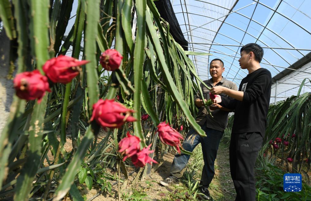 想要导航页顺丰推广正式版