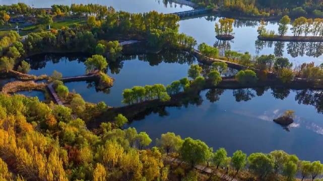 长春北湖国家湿地公园美丽秋景_新浪新闻
