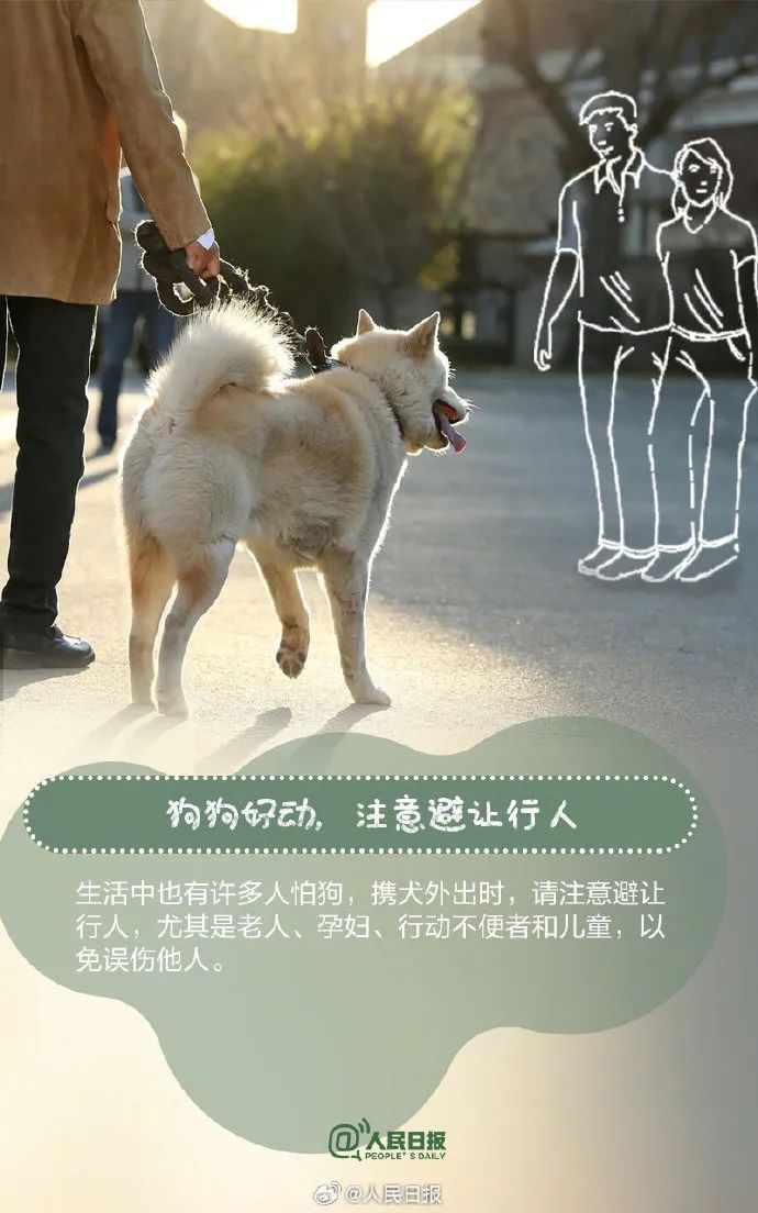 这33种烈性犬,昆明禁养!|昆明市_新浪财经_新浪网