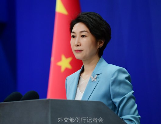 图源:外交部网站