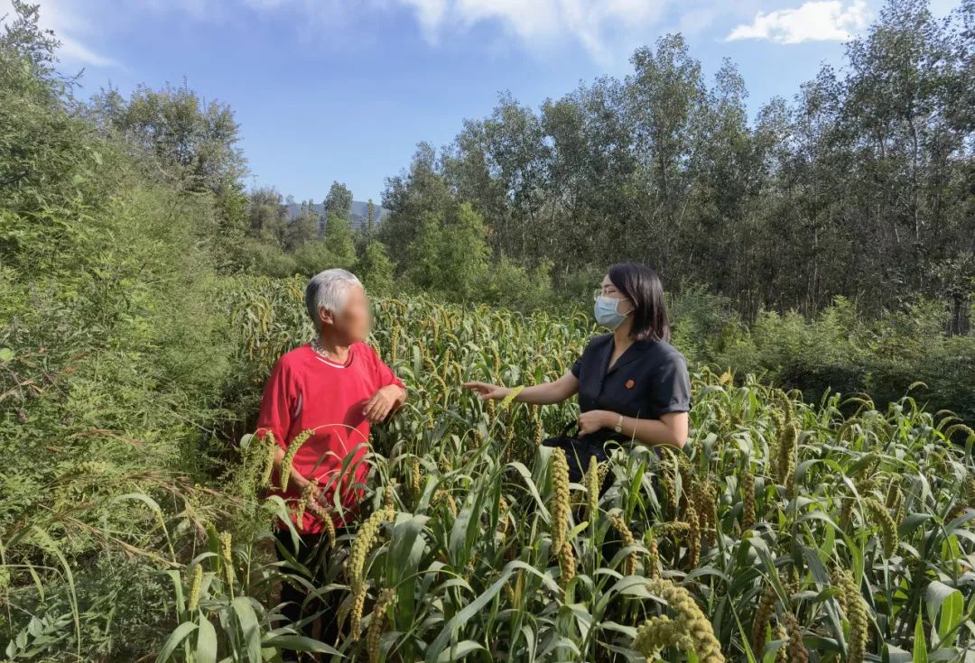 村里来了北京的法官|京法瞬间·我来拍_新浪财经_新浪网
