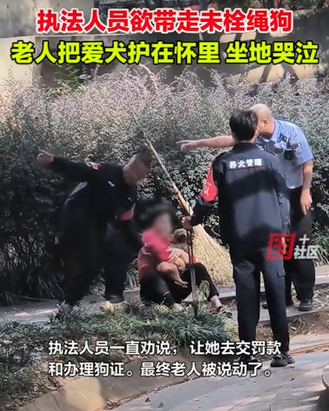 翻山越岭的誓言，抵不过一墙之隔的真心
