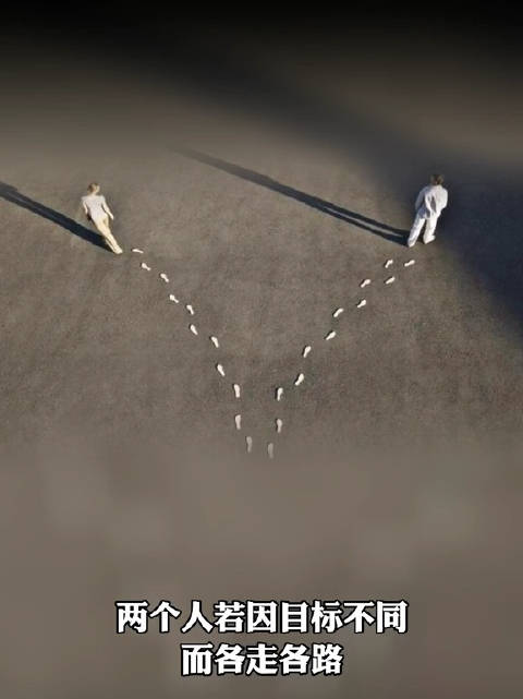 成语“分道扬镳”,分道好理解,那么扬镳是什么意思?_新浪新闻