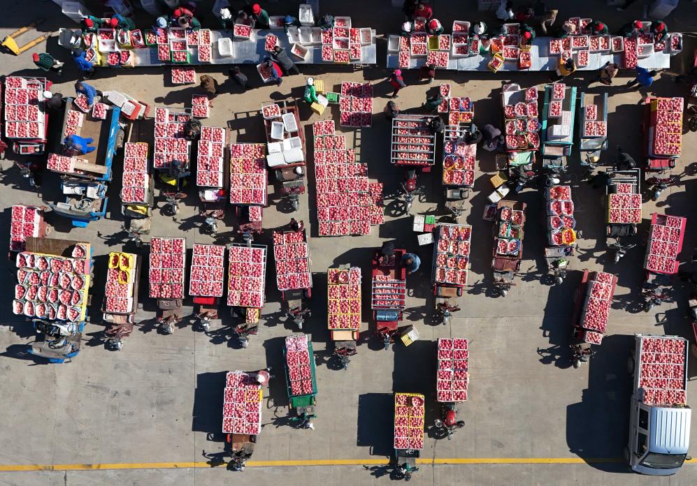 10月20日,果农在延安市洛川县一家果业企业售卖苹果(无人机照片).