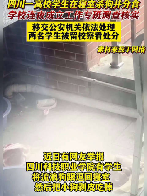 四川高校通报学生宿舍内虐杀流浪狗:两名学生留校察看处分!|流浪狗|四川省_新浪新闻