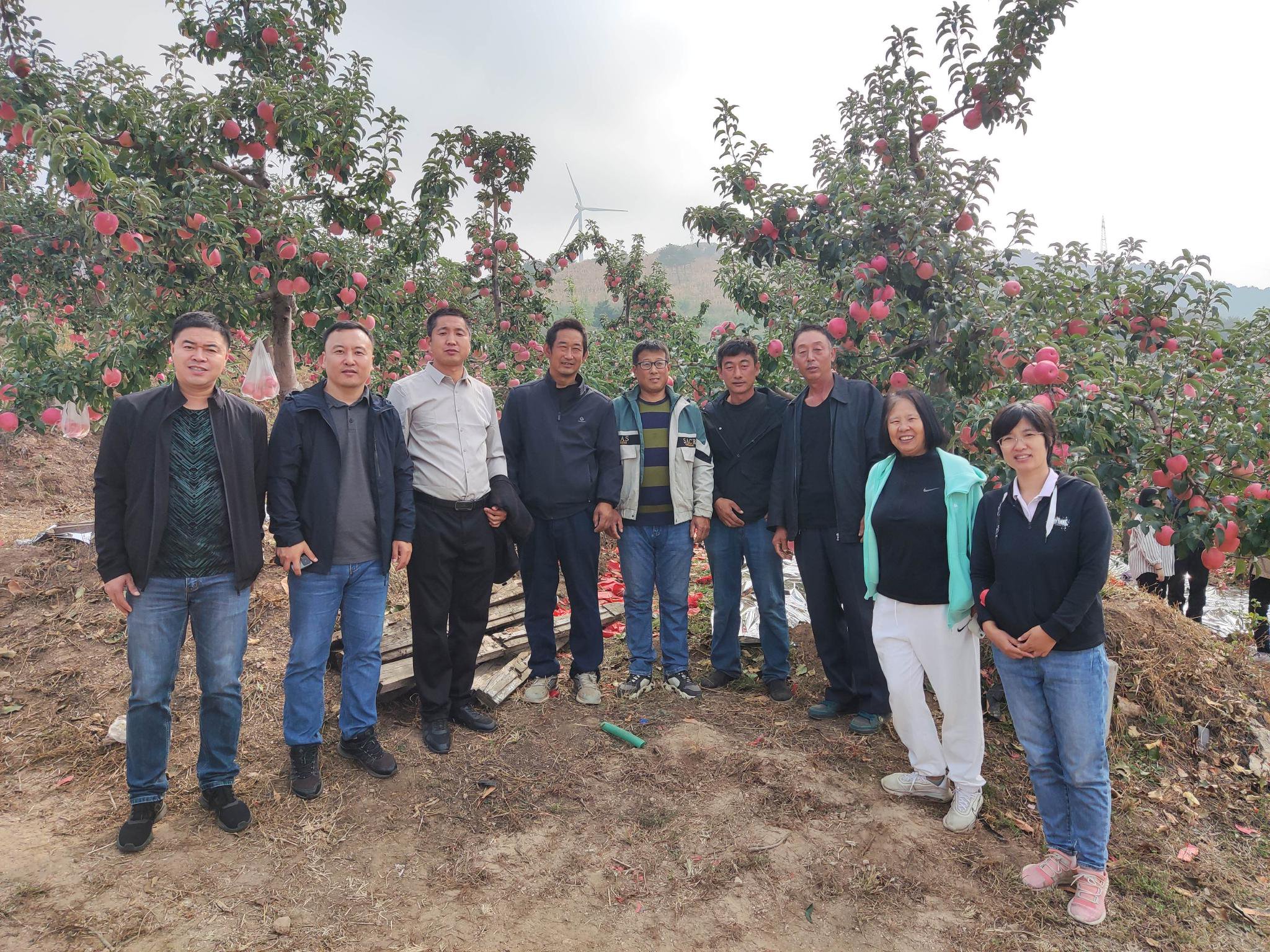 优质高效栽培技术培训现场会在义县张家堡镇宝林湧航果蔬家庭农场召开