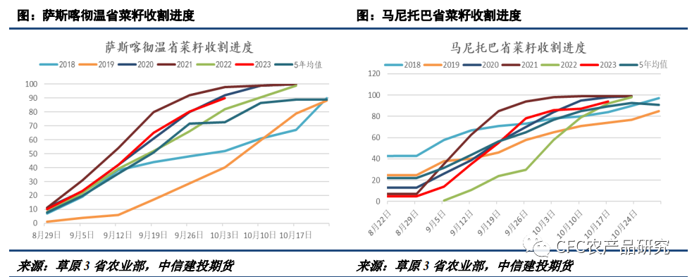 近月买船充足,年前菜系宽松格局不变