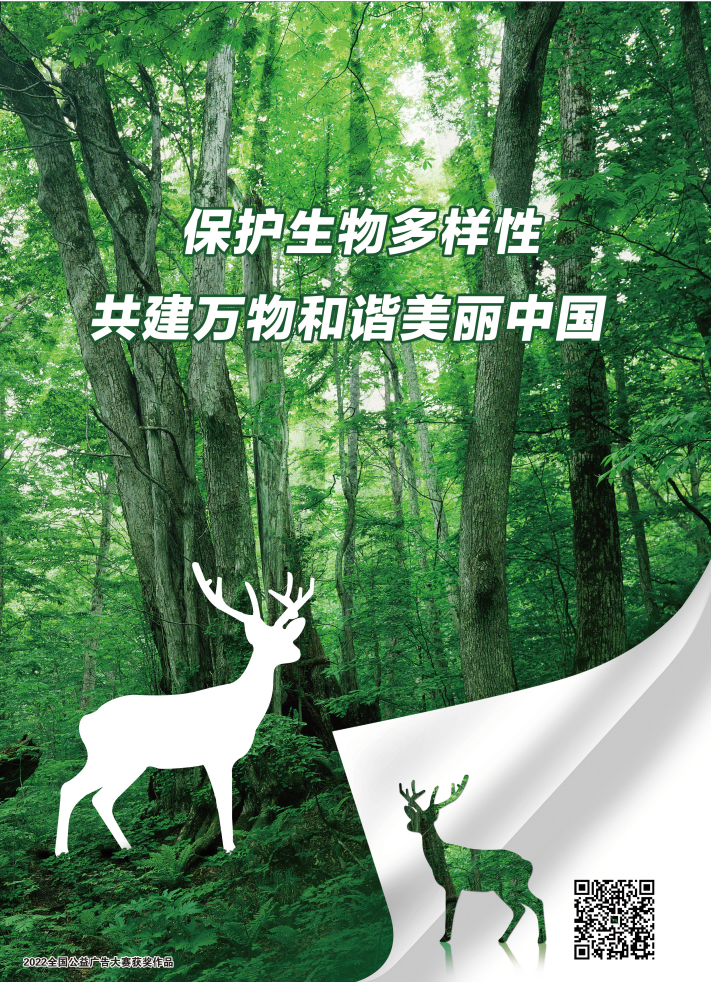 公益海报 | 保护生物多样性,共建万物和谐美丽中国