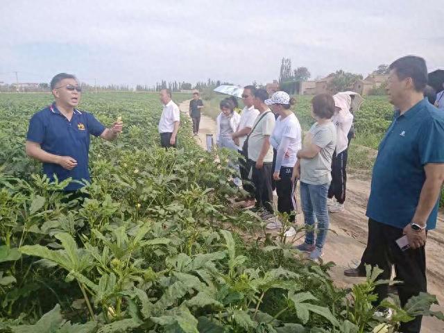 宁夏闽宁镇玉海村60后与90后共寻致富密码