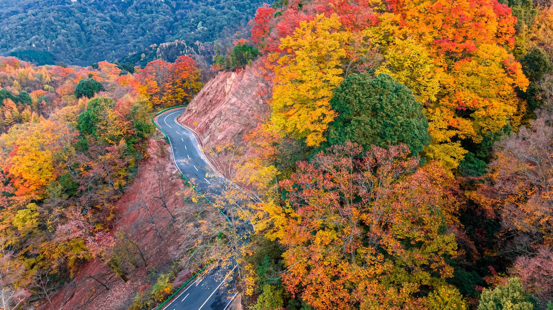 四川巴中,米仓山景区秋景.图据视觉中国