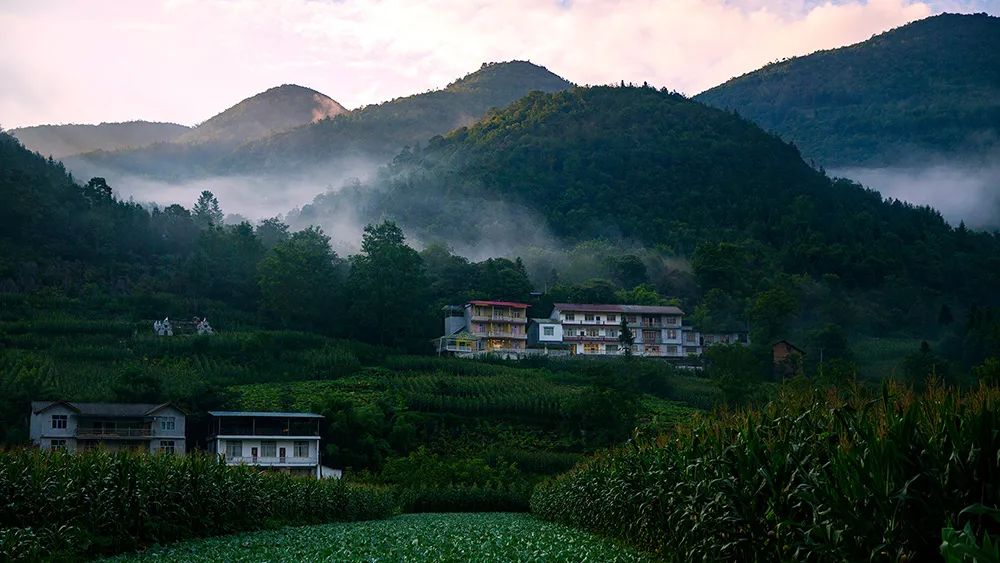 鹿院坪村的民宿.