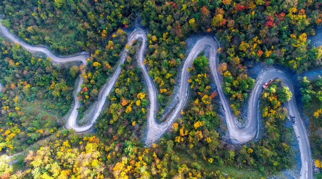 康县长坝青龙山山路弯弯.图片|郭林