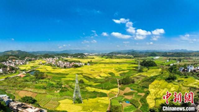 航拍广西梧州市万秀区夏郢镇镇安村.何华文 摄