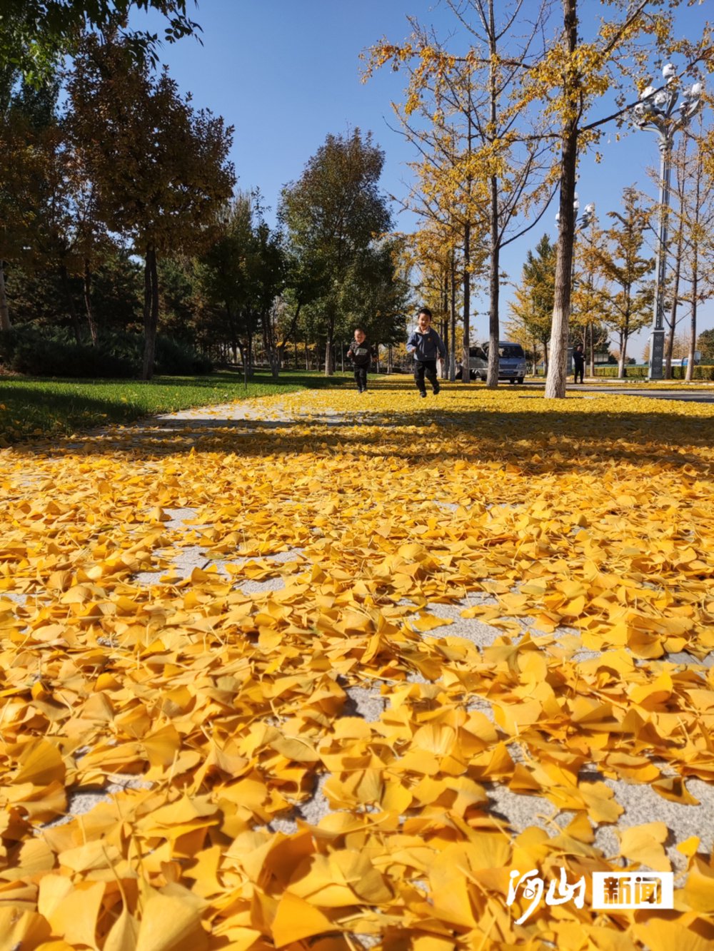 满城尽带黄金甲.白君 陈佳 摄