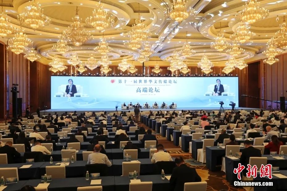 中新社记者 王磊 摄